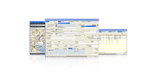 Software